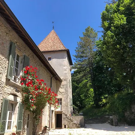 Domaine Du Tres-haut - Chateau De *