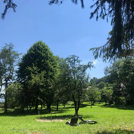 Domaine Du Tres-haut - Chateau De