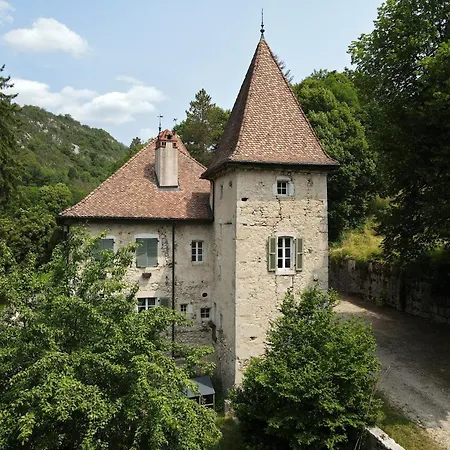 Domaine Du Tres-haut - Chateau De